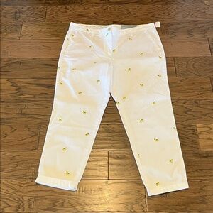 Talbots Girlfriend Chino High Rise NWT Size 14P